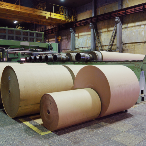 Industrial Rolls of Paper Products