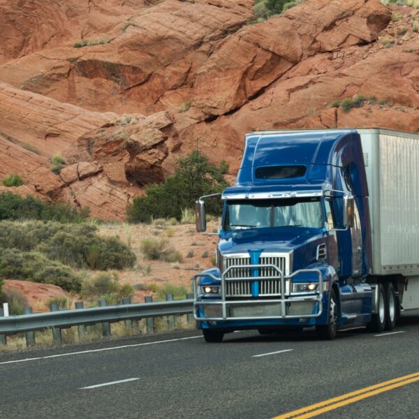 COMMON CAUSES OF SHIPMENT LOSS DURING TRANSPORT – AND WHAT TO DO ABOUT IT